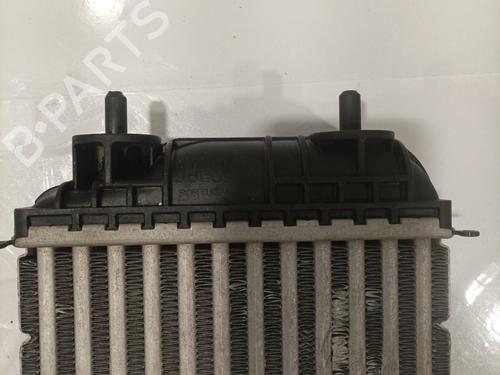 intercooler-opel-corsa-f-p2jo-2019-23069646 main image