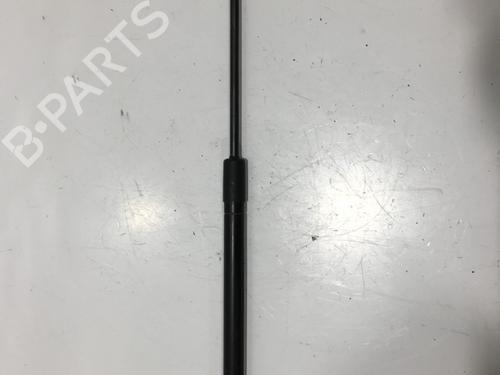 hood-lift-support-renault-megane-iii-coupe-dz01_-2008-2009-2010-2011-2012-2013-2014-2015-2016-25469485 main image