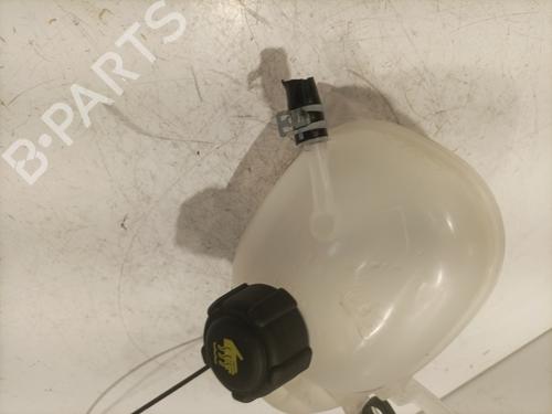 Expansion tank RENAULT TWINGO III (BCM_, BCA_) Z.E: (BCA1) | BP27606208C120 