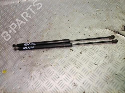 Tailgate lift support RENAULT SCÉNIC III (JZ0/1_) 2.0 dCi (JZ0Y, JZ26) 904500004R