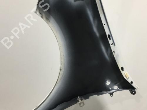 Right front fenders RENAULT CLIO III (BR0/1, CR0/1) 1.5 dCi (C/BR0G, C/BR1G) | BP22573020C42 
