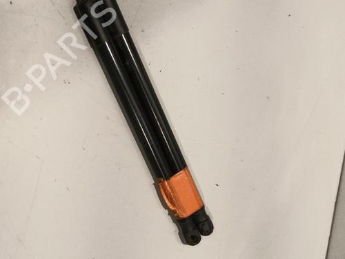 Tailgate lift support AUDI A1 (8X1, 8XK) 1.6 TDI | BP22580105C138 