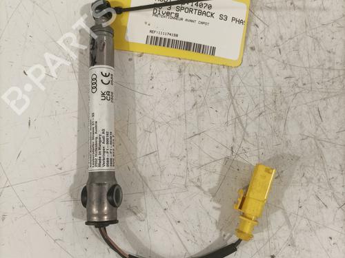 Elektronisk modul AUDI A3 Sportback (8VA, 8VF) S3 quattro (300 hp) 29255351