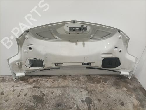 Used Hood Hood RENAULT TRUCKS MASCOTT Platform/Chassis 120.65 (A00500007) (115 hp) 31655006 31655006