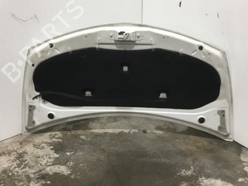 Hood RENAULT CLIO III (BR0/1, CR0/1) 1.5 dCi (C/BR0G, C/BR1G) | BP24180237C1