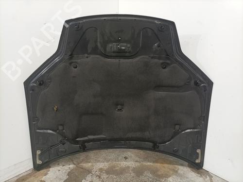 Hood RENAULT LAGUNA III (BT0/1) 2.0 dCi (BT01, BT08, BT09, BT0E, BT0K, BT12, BT1C, BT1D,... | BP29868095C1