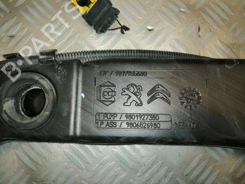 Used Windscreen washer tank PEUGEOT 308 II (LB_, LP_, LW_, LH_, L3_) 1.6 BlueHDi 120 (120 hp) 22591559