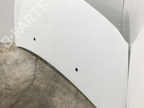 Hood RENAULT CLIO III (BR0/1, CR0/1) 1.5 dCi (C/BR0G, C/BR1G) | BP25158323C1 