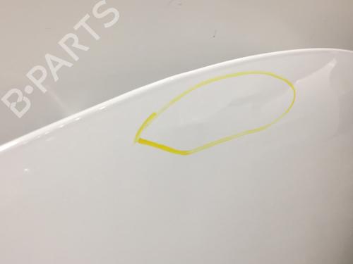 Hood RENAULT CLIO III (BR0/1, CR0/1) 1.5 dCi (C/BR0G, C/BR1G) | BP22573018C1 