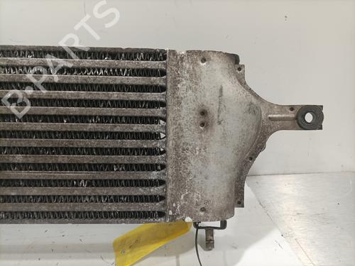 Intercooler Intercooler NISSAN QASHQAI I (J10, NJ10) [2006-2015] 36413852 36413852