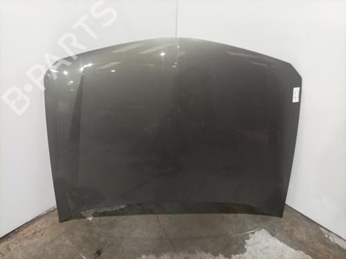 Used Hood RENAULT LAGUNA II (BG0/1_) 1.9 dCi (BG1A, BG1W, BG0G) (110 hp) 32347552