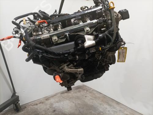 Motor für FIAT 500 (312_) 1.3 D Multijet (312AXB1A) (75 hp) 24115615