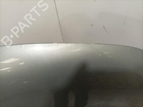 Hood CITROËN C4 II (NC_) 1.6 HDi 115 | BP29188208C1 