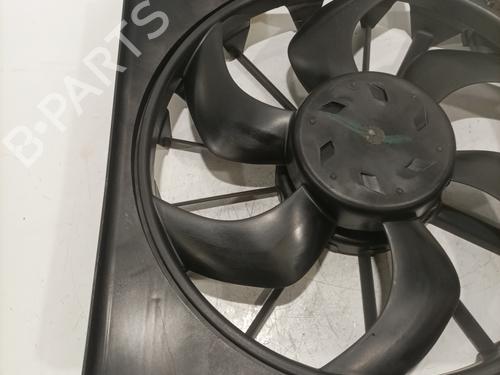 radiator-fan-citroen-c5-iii-break-rw_-2008-2009-2010-2011-2012-2013-2014-2015-2016-2017-28152792 main image