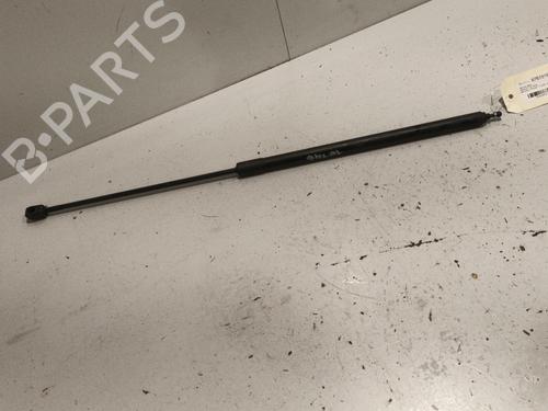 Hood lift support RENAULT MEGANE III Hatchback (BZ0/1_, B3_) 1.5 dCi (BZ09, BZ0D, BZ1W, BZ29, BZ14) | BP22572673C139 