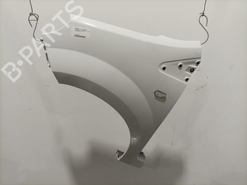 Used Left front fenders RENAULT TWINGO II (CN0_) 1.5 dCi 75 (75 hp) 29822324