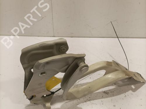 hingedoor-check-strap-fiat-500-312_-2007-37664145 main image