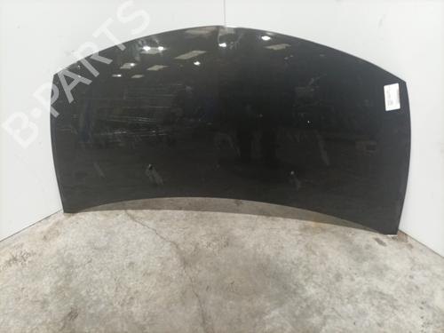 Used Hood RENAULT CLIO III (BR0/1, CR0/1) 1.5 dCi (BR17, CR17) (86 hp) 25653218