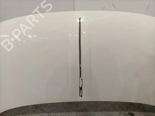 Hood FIAT 500 (312_) 1.3 D Multijet (312AXB1A) | BP28415717C1
