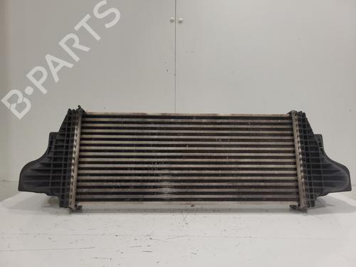 Intercooler MERCEDES-BENZ M-CLASS (W164) | BP36413993M30 - Image 6