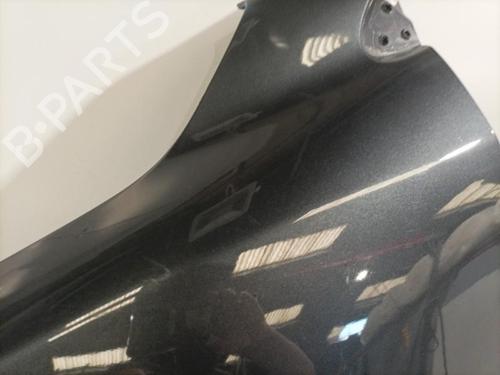 Left front fenders RENAULT MEGANE III Hatchback (BZ0/1_, B3_) 1.5 dCi (BZ09, BZ0D, BZ1W, BZ29, BZ14) | BP22569546C41 