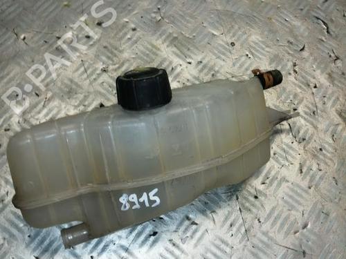Used Expansion tank RENAULT CLIO III (BR0/1, CR0/1) 1.6 16V GT (BR10, CR10) (128 hp) 22589683