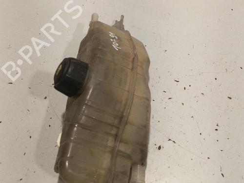 Ekspansjonstank RENAULT CLIO III (BR0/1, CR0/1) 1.5 dCi (BR17, CR17) (86 hp) 22582500