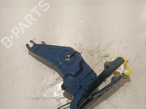 Hinge/Door check strap BMW X6 (E71, E72) M | BP24345421C146 