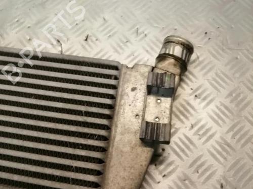 Intercooler RENAULT SCÉNIC II (JM0/1_) 1.5 dCi (JM1E, JM16) | BP22578219M30 