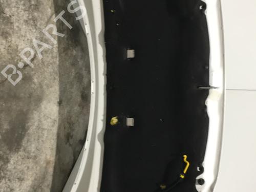 Hood PEUGEOT 308 I (4A_, 4C_) 1.6 HDi | BP22583015C1