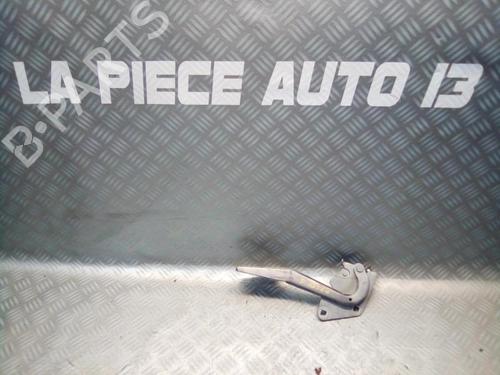 Used Hinge/Door check strap RENAULT MEGANE III Hatchback (BZ0/1_, B3_) 1.9 dCi (BZ0N, BZ0J) (131 hp) 26296911