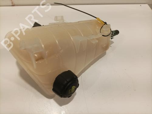 Ekspansjonstank Ekspansjonstank RENAULT KANGOO Express (FW0/1_) 1.5 dCi 90 (FW0G, FW05, FW08, FW11) (90 hp) 26909034 26909034