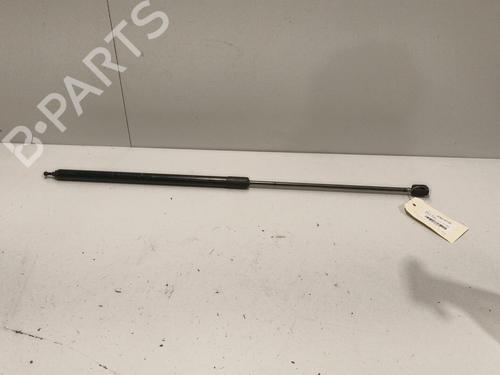 Used Hood lift support RENAULT MEGANE III Hatchback (BZ0/1_, B3_) 1.5 dCi (BZ0C) (90 hp) 22575111