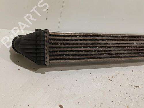 Intercooler MERCEDES-BENZ A-CLASS (W169) A 180 CDI (169.007, 169.307) | BP22581848M30 