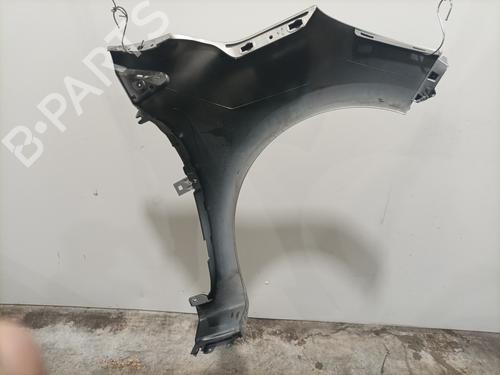 Left front fenders RENAULT CLIO IV (BH_) 1.5 dCi 75 | BP30177689C41