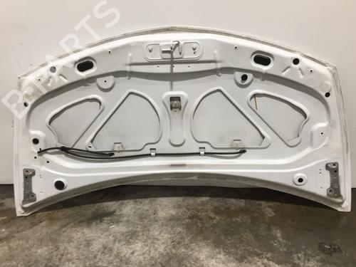 Hood RENAULT CLIO III (BR0/1, CR0/1) 1.5 dCi (C/BR0G, C/BR1G) | BP22573018C1 