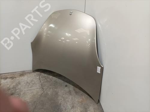 Hood SMART ROADSTER (452) 0.7 (452.432) | BP23110010C1 