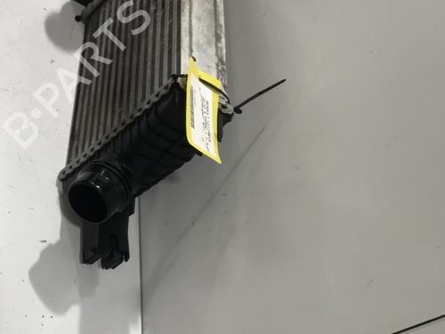 Intercooler RENAULT CLIO IV (BH_) 1.5 dCi 75 | BP30000005M30