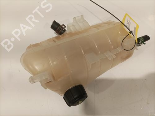 Expansion tank RENAULT KANGOO Express (FW0/1_) 1.5 dCi 90 (FW0G, FW05, FW08, FW11) | BP26909034C120 