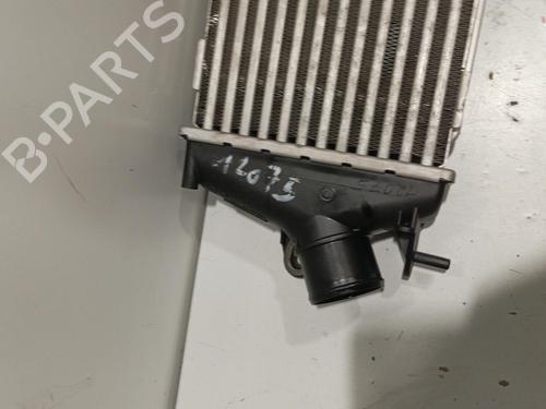 Used Intercooler Intercooler RENAULT TRAFIC II Van (FL) 2.0 dCi 90 (FL0H, FL00, FL01, FL0M, FL0P, FL0S) (90 hp) 22570091 22570091