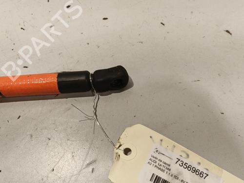 Hood lift support AUDI A3 (8L1) 1.9 TDI | BP22571961C139 