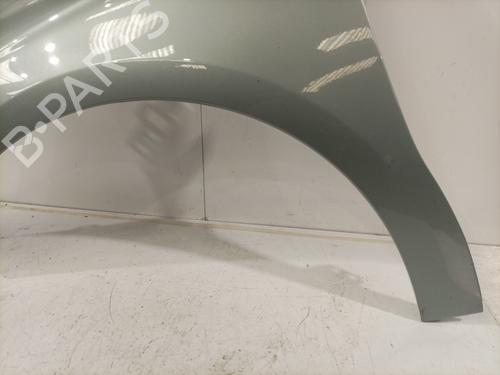Left front fenders CITROËN C4 II (NC_) 1.6 HDi 115 | BP29185004C41 