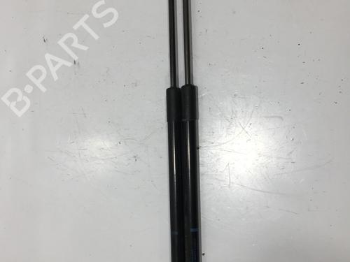 Used Tailgate lift support RENAULT MEGANE III Coupe (DZ0/1_) 1.6 dCi (DZ00, DZ12, DZ2A, DZ13) (130 hp) 25469484