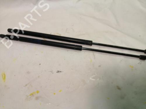 Tailgate lift support LAND ROVER RANGE ROVER SPORT I (L320) 3.0 D 4x4 | BP22571287C138 