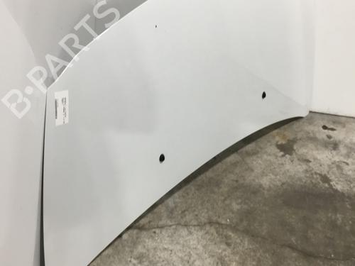 Hood RENAULT CLIO III (BR0/1, CR0/1) 1.5 dCi (C/BR0G, C/BR1G) | BP25158323C1 