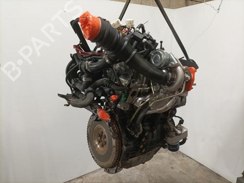 Engine RENAULT CLIO III (BR0/1, CR0/1) 1.2 16V (BR0P, CR0P) | BP33950625M1 - Image 3