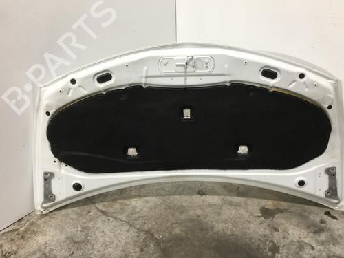Hood RENAULT CLIO III (BR0/1, CR0/1) 1.5 dCi (C/BR0G, C/BR1G) | BP25158323C1 