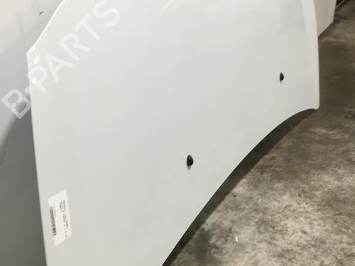 Used Hood Hood RENAULT CLIO III (BR0/1, CR0/1) 1.5 dCi (C/BR0G, C/BR1G) (68 hp) 22573018 22573018