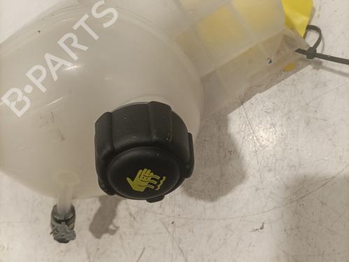 Expansion tank RENAULT TWINGO III (BCM_, BCA_) Z.E: (BCA1) | BP27606208C120 