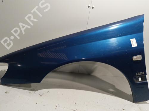 Left front fenders PEUGEOT 406 (8B) 2.2 HDi | BP22577198C41 